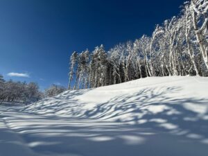 Hilly winter scene with deep snow and sunlit trees casting crisp shadows on the slope.